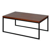 Palmer Coffee table (big)
